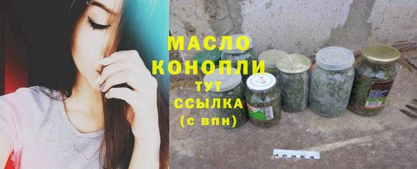 СК Алексин