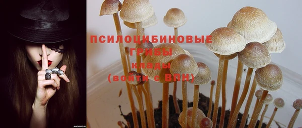 мяу мяу мука Алзамай