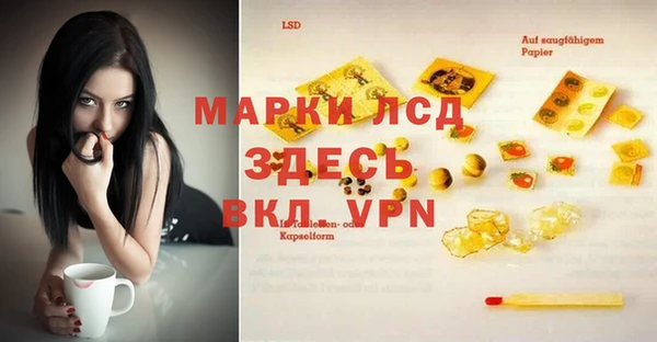 мяу мяу мука Алзамай
