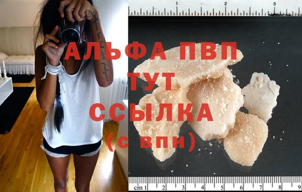 СК Алексин