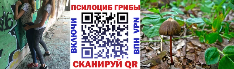 Псилоцибиновые грибы мухоморы Починок